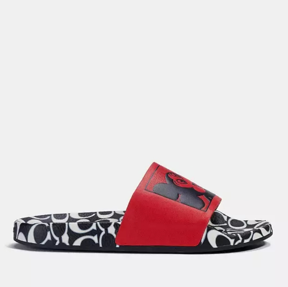 Coach slides - Picture 5 of 5